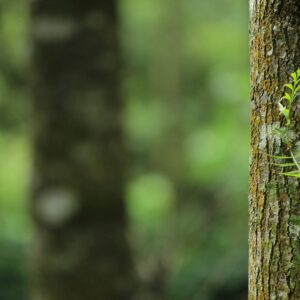 Ecocycle Planning Toolkit